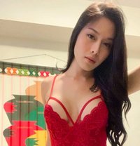 Kitty - Transsexual escort in Singapore