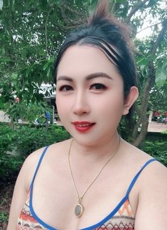 Kitty Ladyboy - Transsexual escort in Udon Thani Photo 1 of 4