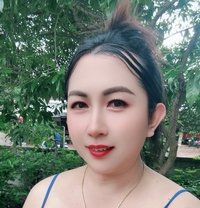 Kitty Ladyboy - Transsexual escort in Udon Thani