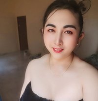 Kitty Ladyboy - Transsexual escort in Udon Thani