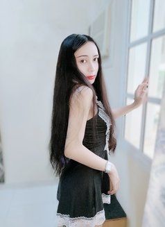 Kitty Ladyboy - Transsexual escort in Şalālah Photo 2 of 5