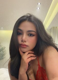 Kitty New Riyadh - escort in Riyadh Photo 13 of 15