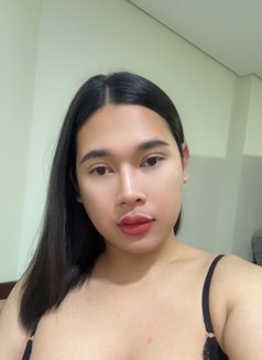 Kitty nice and friendly - Transsexual escort in Riyadh Photo 9 of 13