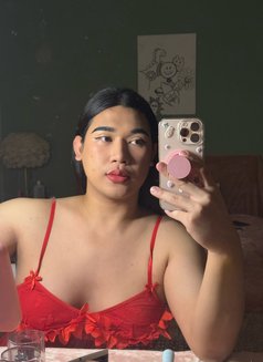 Kitty nice and friendly - Transsexual escort in Riyadh Photo 10 of 13