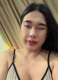 Kitty nice and friendly - Transsexual escort in Riyadh Photo 12 of 13