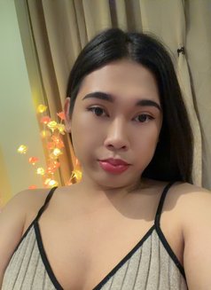 Kitty nice and friendly - Transsexual escort in Riyadh Photo 13 of 13