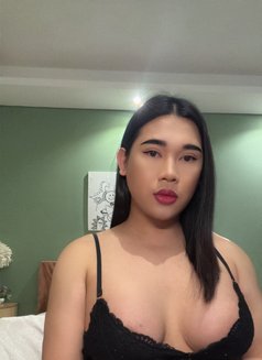 Kitty nice and friendly - Transsexual escort in Al Manama Photo 6 of 15
