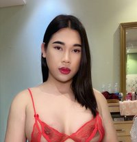 Kitty nice and friendly - Transsexual escort in Al Manama
