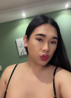 Kitty nice and friendly - Transsexual escort in Al Manama Photo 14 of 15