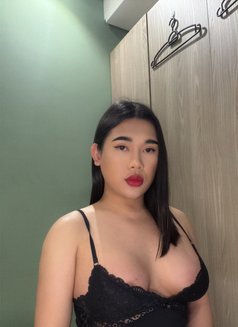 Kitty nice and friendly - Transsexual escort in Al Manama Photo 15 of 15