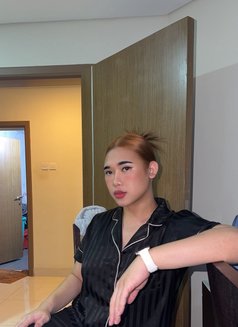 Aoffy nice and friendly - Acompañantes transexual in Al Manama Photo 3 of 10