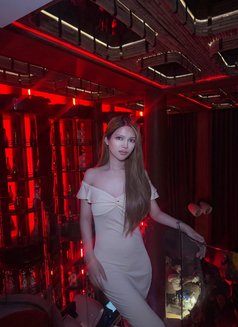 Kitty Pretty VIP From Australia - escort in Bangkok Photo 3 of 4