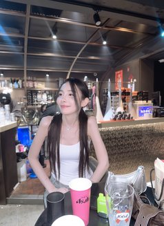 Kitty Pretty VIP From Australia - escort in Bangkok Photo 2 of 8