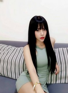 Kitty - escort in Bangkok Photo 9 of 12