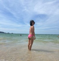 Kitty - escort in Phuket