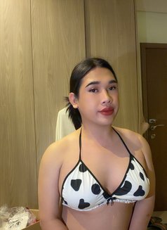 Kitty - Transsexual escort in Al Juffair Photo 9 of 12