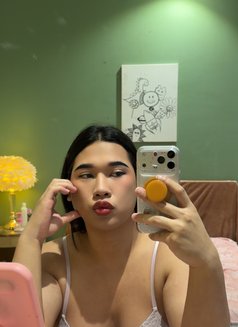 Kitty - Transsexual escort in Al Juffair Photo 11 of 12