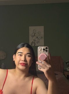 Kitty - Transsexual escort in Al Juffair Photo 12 of 12