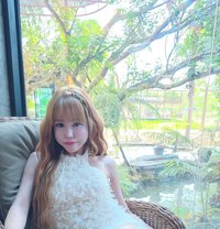 Kitty - Transsexual escort in Kuala Lumpur