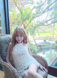 Kitty - Transsexual escort in Kuala Lumpur Photo 3 of 3