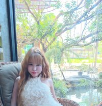 Kitty - Transsexual escort in Kuala Lumpur