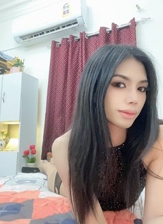 Kitty Thailand - Transsexual escort in Muscat Photo 2 of 3