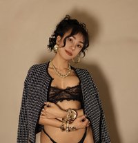 Kitty VIP - Transsexual escort in Bangkok