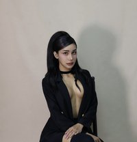 Kitty VIP - Transsexual escort in Bangkok