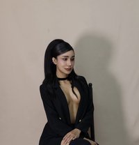 Kitty VIP - Transsexual escort in Bangkok