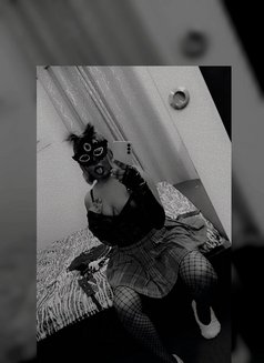 Mistress kitty Yarmouk - puta in Riyadh Photo 6 of 9