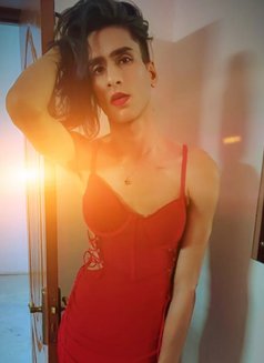 Kitty0101 - Acompañantes transexual in Chennai Photo 1 of 13