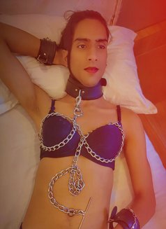 Kitty0101 - Acompañantes transexual in Chennai Photo 6 of 13