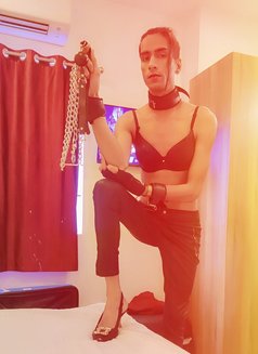 Kitty0101 - Acompañantes transexual in Chennai Photo 9 of 13