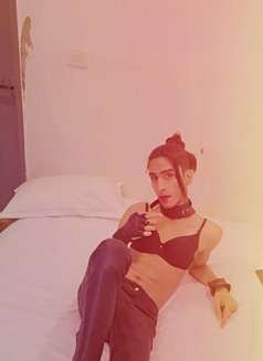 Kitty0101 - Acompañantes transexual in Chennai Photo 11 of 13
