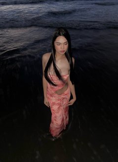 Kittykang - Transsexual escort in Manila Photo 8 of 8
