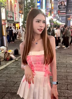 Kittyxx - Transsexual escort agency in Bangkok Photo 11 of 16