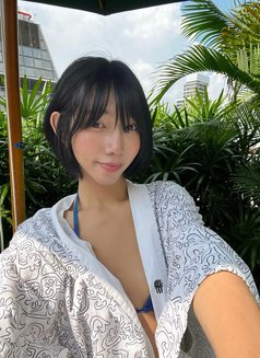 Kittyxx - Transsexual escort in Phuket Photo 3 of 9