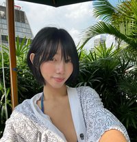 Kittyxx - Transsexual escort in Phuket