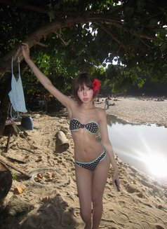 Kittyxx - Transsexual escort in Phuket Photo 14 of 14