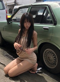 Kittyxx - Transsexual escort in Phuket Photo 15 of 15