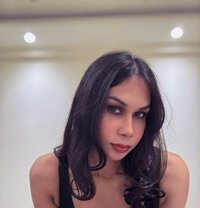 Kiyara Roy - Transsexual escort in New Delhi