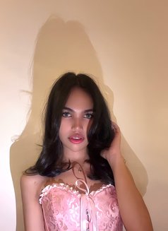 Babymallows - Transsexual escort in Taichung Photo 1 of 3
