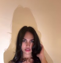 Babymallows - Transsexual escort in Taichung