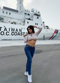 KkCatdall πΉπ - Transsexual escort in Abu Dhabi Photo 21 of 21