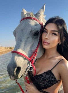 KkCatdall 🇹🇭 - Transsexual escort in Abu Dhabi Photo 22 of 22