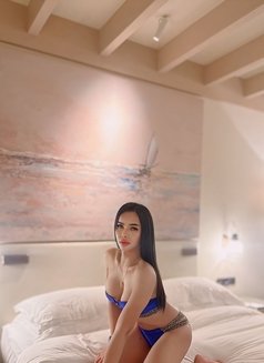 KkCatdall 🇹🇭 - Transsexual escort in Bangkok Photo 18 of 19