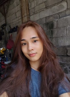 Kkristendj Cutie - Acompañantes transexual in Manila Photo 4 of 5