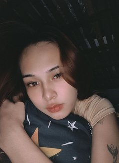 Kkristendj Cutie - Transsexual escort in Manila Photo 4 of 6