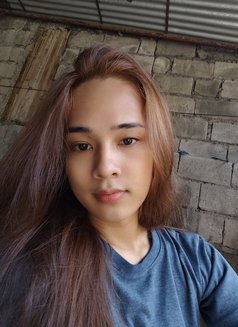 Kkristendj Needs a Sugar Daddy - Transsexual escort in Manila Photo 3 of 4