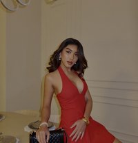 KN Bespoken Companion - escort in Dubai